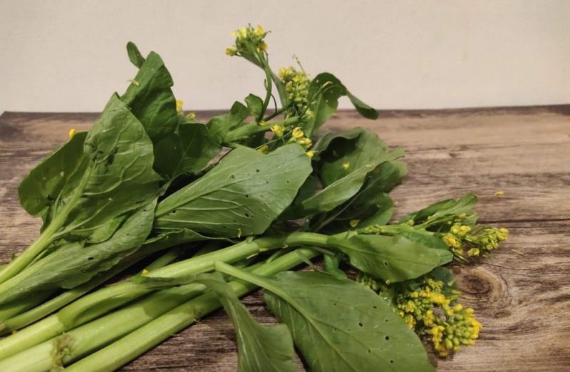 タイの菜の花みたいな野菜 中華からし菜 Dok Kwang Tong ぼち子のバンコク生活メモ